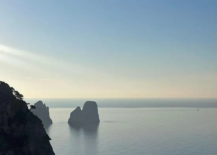 Essence One By Sweet 招待所 卡普里